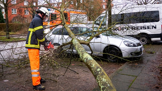 Un bombero tala un árbol que cayó sobre un coche durante una tormenta en el distrito Neuallermohe de Hamburgo.  © Picture Allianz / DPA Fotografía: Daniel Bockoldt