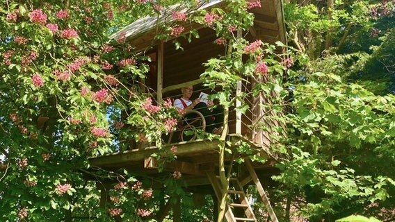 Ein Baumhaus in einem Baumwipfel im Kreis Harburg © NDR Foto: Ralph Alexowitz