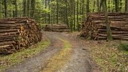 Baumstämme liegen gestapelt in einem Wald. ©  imageBROKER Foto: Alf Jönsson