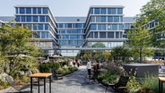 Blick vom Garten des Mitarbeiterrestaurants auf die neue Beiersdorf-Konzernzentrale in Hamburg. © picture alliance / dpa Foto: Markus Scholz