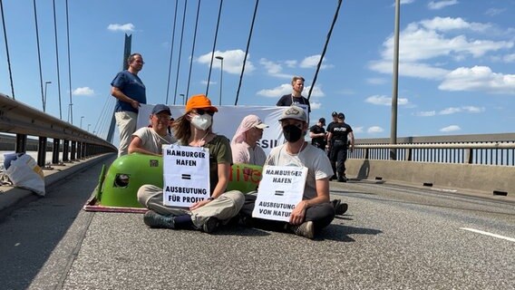 Protestlerinnen und Protestler blockieren die Köhlbrandbrücke. © NDR Foto: Finn Kessler