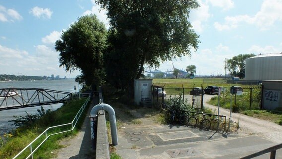 Die Baumreihe am Bubendey-Ufer  Foto: Marc-Oliver Rehrmann