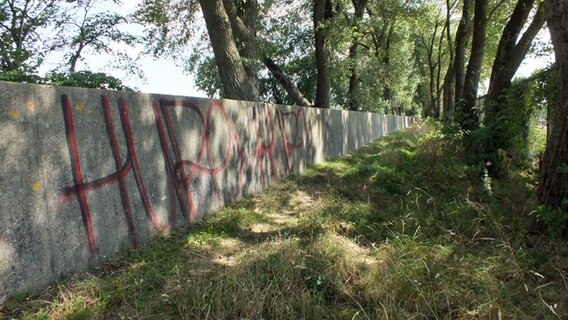 Ein Graffito auf der Hochwasserschutzwand am Bubendey-Ufer  Foto: Marc-Oliver Rehrmann