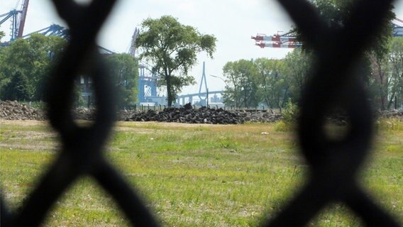 Durch einen Zaun am Bubendey-Ufer ist in der Ferne die Köhlbrandbrücke zu sehen  Foto: Marc-Oliver Rehrmann