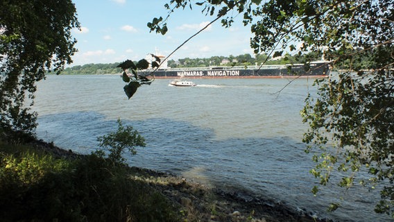 Blick vom Bubendey-Ufer auf vorbeifahrende Schiffe auf der Elbe  Foto: Marc-Oliver Rehrmann
