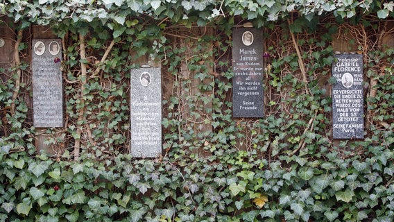 Gedenksteine für ermordete Kinder hängen im Rosengarten der Gedenkstätte Bullenhuser Damm, der hinter einer ehemaligen Schule am Bullenhuser Damm in Hamburg liegt. © picture alliance / dpa Foto: Bodo Marks