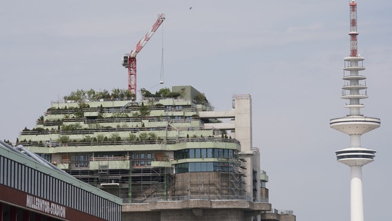 Blick auf den begrünten und bepflanzten Aufbau auf dem Dach des Hochbunkers am Hamburger Heiligengeistfeld. Rechts daneben ist der Fernsehturm zu sehen. © picture alliance / dpa Foto: Marcus Brandt