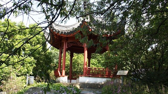 Der chinesische Pavillon im Botanischen Garten in Klein Flottbek (Hamburg). © NDR.de Foto: Florian Wöhrle