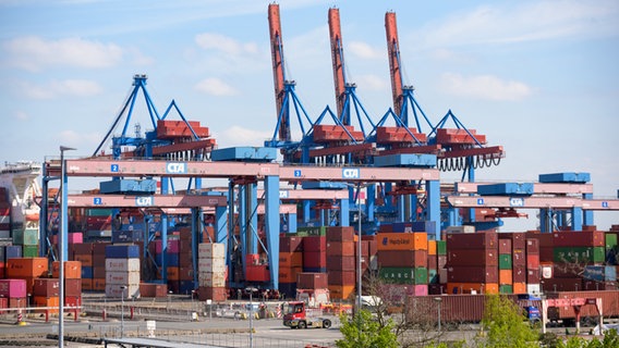 Kräne und Container auf dem Gelände des Terminals Altenwerder im Hamburger Hafen. © picture alliance/dpa Foto: Jonas Walzberg