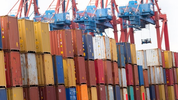 Zahlreiche Container stapeln sich vor hochgeklappten Containerbrücken auf einem Containerterminal. © picture alliance/dpa | Jonas Walzberg Foto: Jonas Walzberg