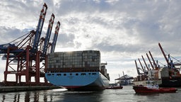 Das Containerschiff "Emma Maersk", eines der größten Containerschiffe der Welt, legt am Terminal in Waltershof an © dpa Foto: Axel Heimken