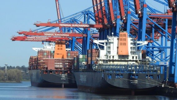 Containerschiffe liegen am Burchardkai im Hamburger Hafen. © picture-allliance 