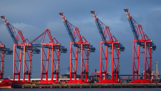 Containerbrücken am Containerterminal von Eurogate leuchten in der Morgensonne im Hamburger Hafen. © Christian Charisius/dpa 