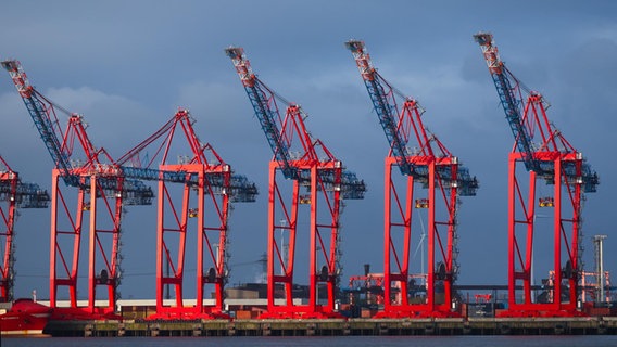 Containerbrücken am Containerterminal von Eurogate leuchten in der Morgensonne im Hamburger Hafen. © Christian Charisius/dpa 