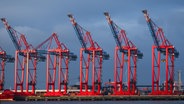 Containerbrücken am Containerterminal von Eurogate leuchten in der Morgensonne im Hamburger Hafen. © Christian Charisius/dpa 