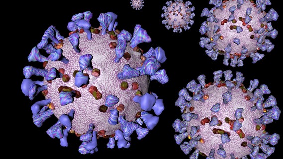 Visualisierung: Coronavirus. © picture alliance / 360-Berlin 