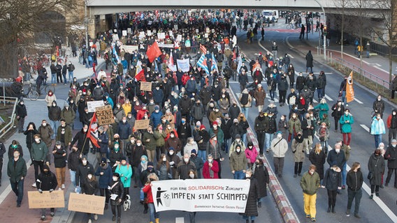 Blick auf die Menschenmenge bei einer Demo gegen Corona-Leugner in Hamburg. © picture alliance/dpa Foto: Georg Wendt