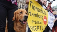 Ein Hund steht während der Demonstration von Tierschutzorganisationen auf dem Hamburger Rathausmarkt neben einem Plakat. © picture alliance / dpa Foto: Marcus Brandt