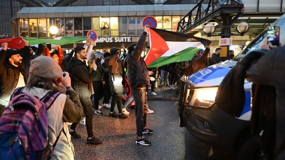 Teilnehmer einer pro-palästinensischen Kundgebung vor dem Hamburger Hauptbahnhof tragen palästinensische Flaggen. © picture alliance / dpa Foto: Jonas Walzberg