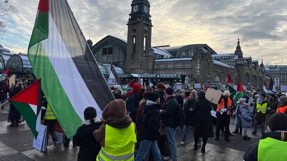 Menschen bei einer Pro-Palästina-Demo in der Nähe des Hamburger Hauptbahnhofs. © NDR Foto: Kai Salander