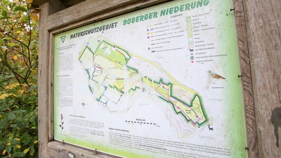 Ein Schild mit einer Gebietskarte steht im Hamburger Naturschutzgebiet Boberger Niederung. Die Umweltbehörde hat dort bei Bodenuntersuchungen sehr hohe Dioxinwerte festgestellt. © dpa Foto: Bodo Marks