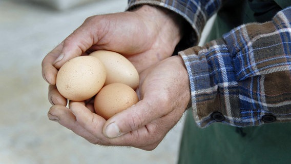 Hühnereier liegen in zwei Händen. © picture alliance/prisma Foto: Neeser Rolf