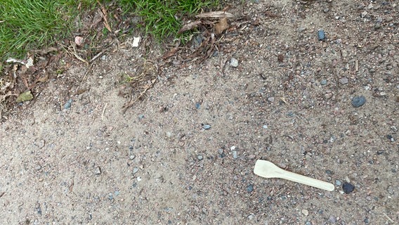 Ein Eislöffel aus Plastik liegt auf der Erde. Ein Eislöffel aus Plastik liegt auf der Erde. © NDR Foto: Lena Petersen