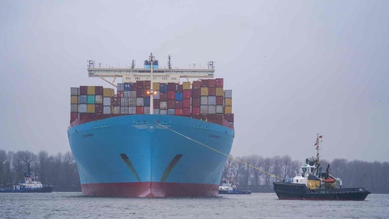Das Containerschiff "Eugen Maersk" von der Reederei Maersk wird auf der Elbe an einen Containerterminal geschleppt. © picture alliance/dpa Foto: Marcus Brandt