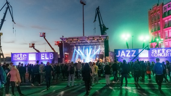 Besucher genießen die Musik vor der Hauptbühne des Elbjazz-Festivals auf dem Gelände der Werft Blohm + Voss. © picture alliance / dpa Foto: Markus Scholz
