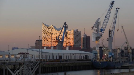 Die Elbphilharmonie vom Afrikahöft aus gesehen. © NDR.de Foto: Marc-Oliver Rehrmann