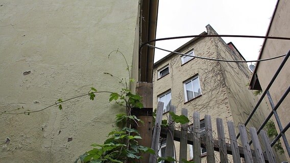 Verwinkelte Elbtreppenhäuser werden von Kletterpflanzen überrankelt. © NDR Foto: Daniel Sprenger