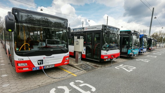 Busse des Hamburger Verkehrsverbundes stehen auf dem Betriebshof in Wandsbek für ihren Einsatz bereit. © picture alliance/dpa Foto: Ulrich Perrey