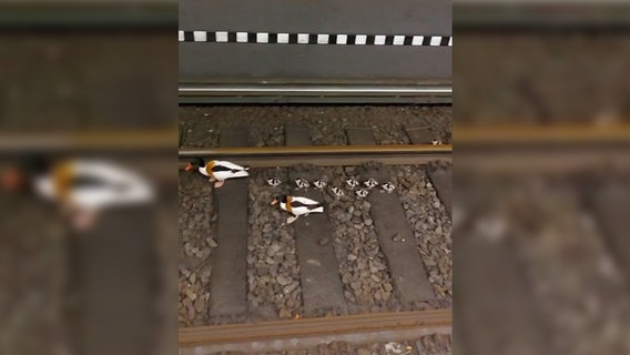 Eine Entenfamilie in einem U-Bahnschacht. © NonstopNews Foto: Screenshot