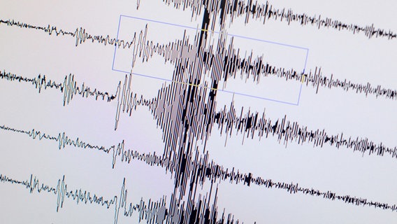 Ein Seismograph zeigt die Ausschläge des Erdbebens in Sendai/Japan. © dpa Foto: Peter Steffen