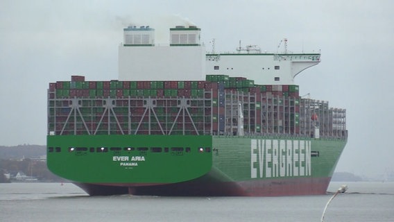 Das Containerschiff "Ever Aria". © TV Elbnews Foto: Screenshot