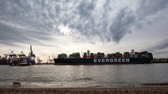 Das Containerschiff "Ever Given" wird beim Einlaufen in den Hamburger Hafen gedreht. © dpa Foto: Bodo Marks
