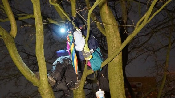Ein Umweltaktivist sitzt in einem Baum. © City News TV 