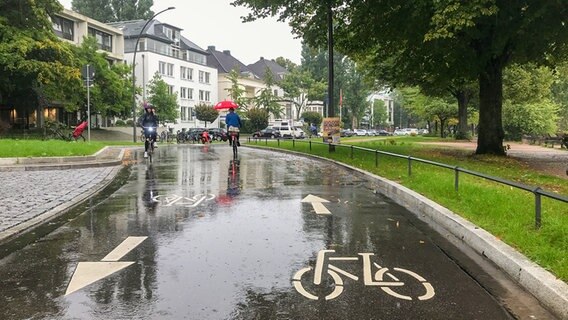 Zwei Personen fahren auf dem Fahrrad entlang der Außenalster in Hamburg. © NDR Foto: Jan Möller