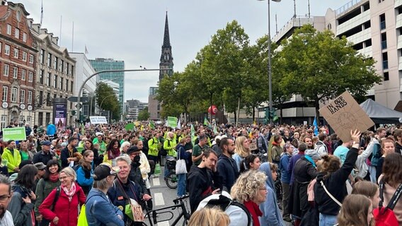 Hamburgerinnen und Hamburger auf der Fridays for Future-Kundgebung in Hamburg. © NDR Foto: Ingmar Schmidt