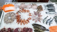 Frischer Fisch und andere Meeresfrüchte liegen auf einem Verkaufstisch im Fischmarkt Hamburg-Altona. © picture alliance / dpa Foto: Christian Charisius