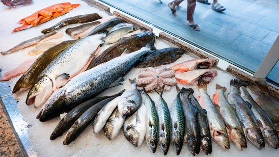 Verschiedene Fische werden in der Auslage eines Fischgeschäfts zum Kauf angeboten. © picture 