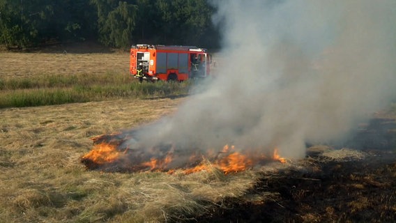 Ein Feuerwehrfahrzeug steht am Rande eines Wiesenbrandes in Hamburg. © NDR 