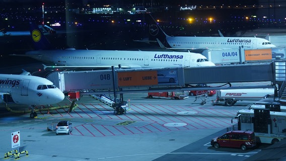 Flugzeuge der Lufthansa stehen neben weiteren Flugzeugen an einem Terminal des Hamburger Flughafens. © dpa Foto: Marcus Brandt