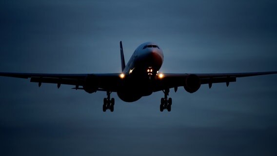 Ein Flugzeug landet am Abend. © picture-alliance Foto: Robert Schlesinger