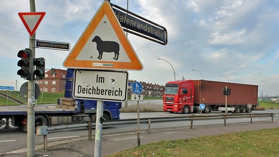 Zwei Lkw begegnen sich auf der Wilhelmsburger Hafenrandstraße am Freihafen, ein Verkehrsschild warnt vor Schafen im Deichbereich. © NDR Foto: Daniel Sprenger