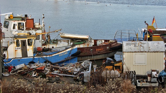Schrottreife und verrostete Boote liegen im Spreehafen. © NDR Foto: Daniel Sprenger