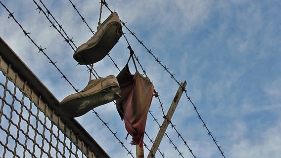 Schuhe hängen im Stacheldraht auf dem Freihafenzaun. © NDR Foto: Daniel Sprenger