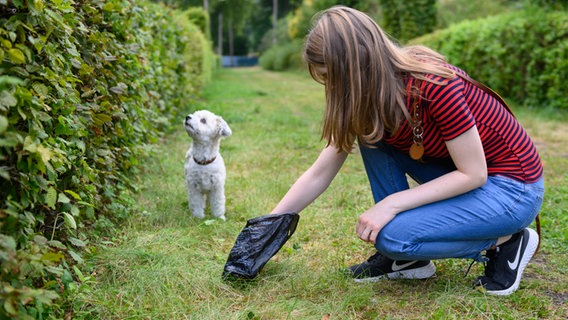 Eine junge Frau sammelt mit einem Hundebeutel den Kot ihres Hundes ein. © dpa 