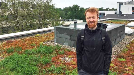 Michael Richter auf einem Gründach in Hamburg © NDR Foto: Marc Hoffmann