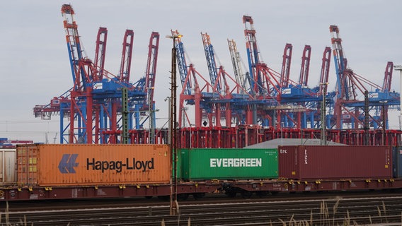 Züge mit Containern stehen auf den Gleisanlagen in Waltershof im Hamburger Hafen. © picture alliance/dpa | Marcus Brandt Foto: Marcus Brandt